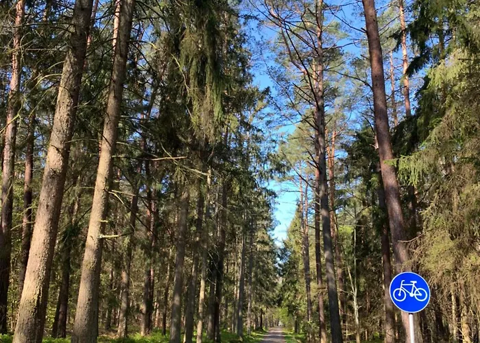 Apartament W Bursztynowe *